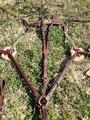 Collier de chasse Devoucoux NEUF