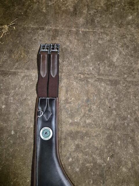 sangle bavette forestier