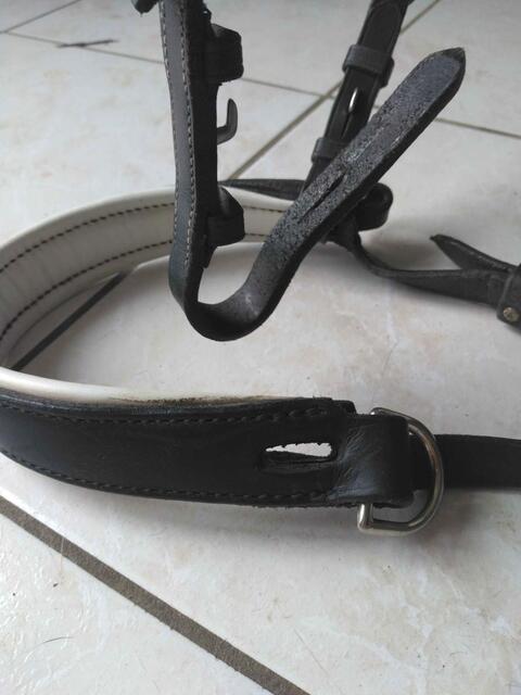 muserolle sidepull artisanale