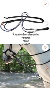 Rênes allemandes précisions