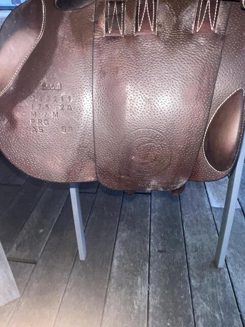 Selle forestier mixte 2024 très bon état