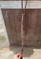 Collier de chasse Eric Thomas taille cheval