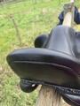 Selle Antarès Tempo+ 2024