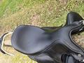 Selle Antarès Tempo+ 2024