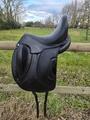 Selle Antarès Tempo+ 2024