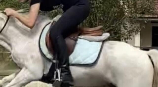 Selle poney/enfant