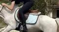 Selle poney/enfant