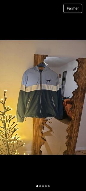 Veste