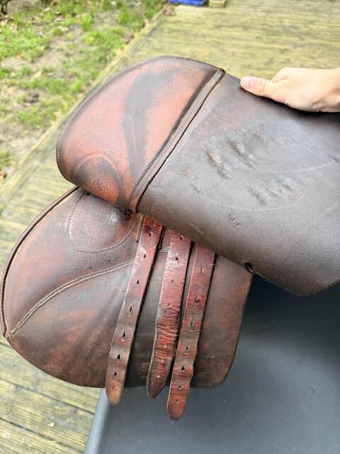 Selle forestier Jonzac