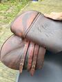 Selle forestier Jonzac