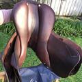 Selle Antarès Connexion