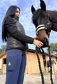 Pantalon Équitation Navy Shaping | Grip Intégral & Taille Haute