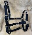 Licol en Cuir Artisanal "LD Black" | Bouclerie Inox & Détails Or