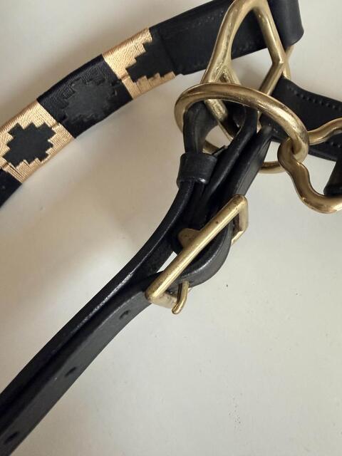 Licol en Cuir Artisanal "LD Black" | Bouclerie Inox & Détails Or