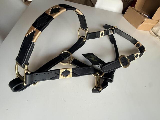 Licol en Cuir Artisanal "LD Black" | Bouclerie Inox & Détails Or