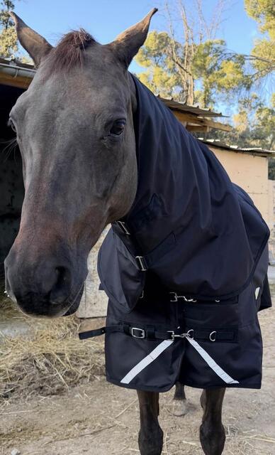 Couverture Extérieur 600D | Imperméable & Respirante 🛡️