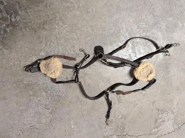 COLLIER DE CHASSE + MARTINGALE