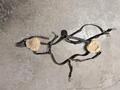 COLLIER DE CHASSE + MARTINGALE
