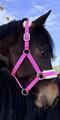 Licol Mouton Rose Fushia | Ultra-Doux & Bouclerie Inox 💖