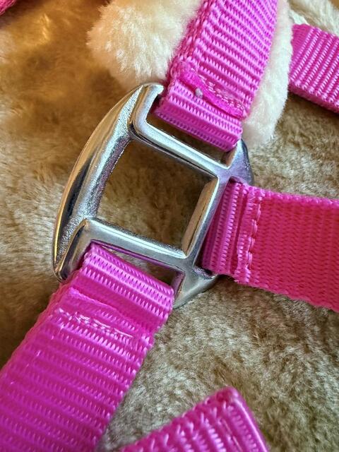 Licol Mouton Rose Fushia | Ultra-Doux & Bouclerie Inox 💖