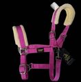 Licol Mouton Rose Fushia | Ultra-Doux & Bouclerie Inox 💖