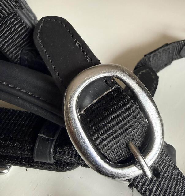 Licol "RX Indestructible" | Cuir Vegan Japonais & Inox Massif 🛡️