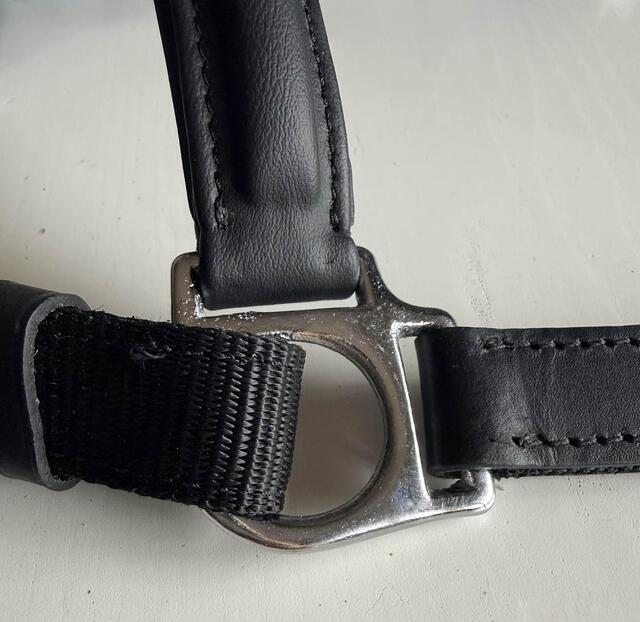 Licol "RX Indestructible" | Cuir Vegan Japonais & Inox Massif 🛡️