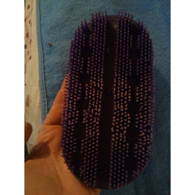 Matériel de pansage