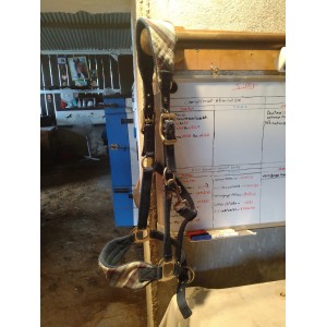 Licol Horze Bleu Marine Type Ecossais