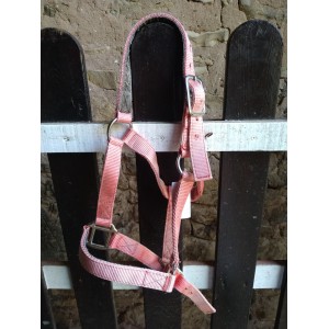 Licol Poney