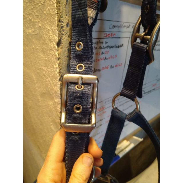 Licol Horze Bleu Marine Type Ecossais