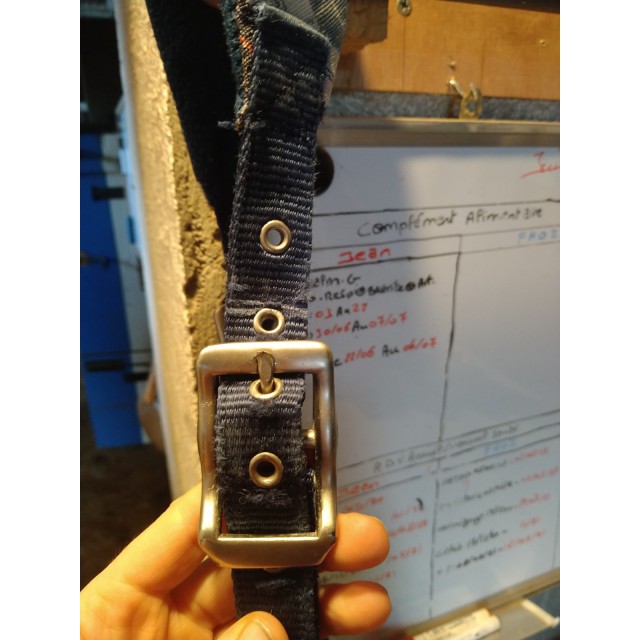 Licol Horze Bleu Marine Type Ecossais