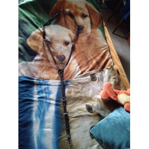 Collier de Chasse Roméo