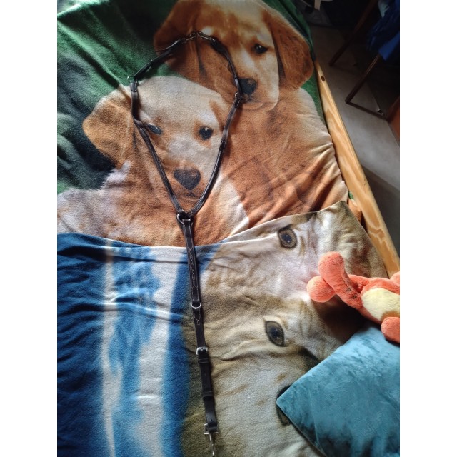 Collier de Chasse Roméo