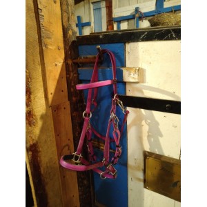 Bridon Licol