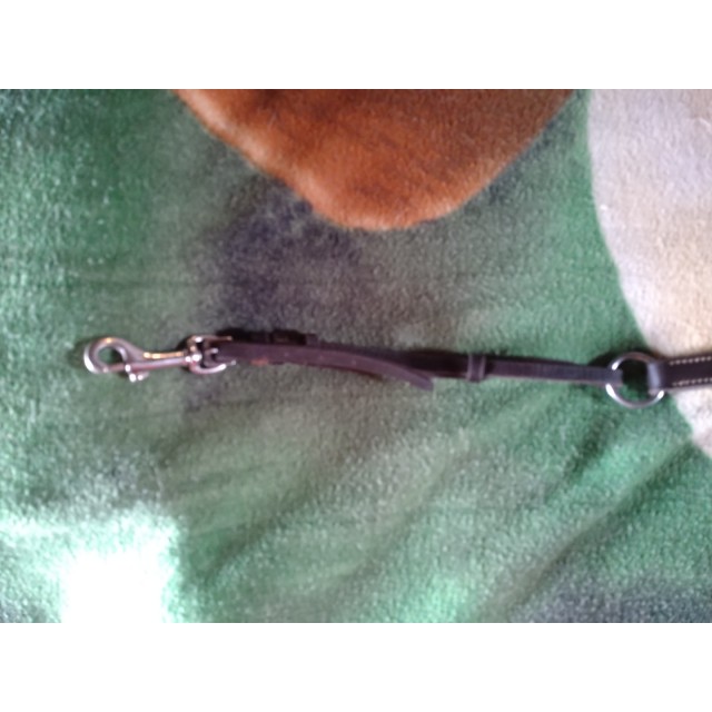 Collier de Chasse Roméo