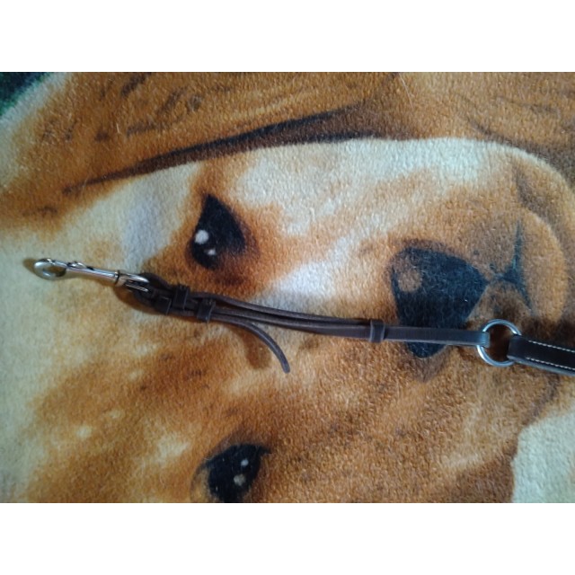 Collier de Chasse Roméo