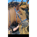 Filet taille cheval