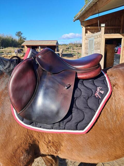 Selle Optim S03 CWD
