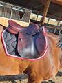 Selle Optim S03 CWD
