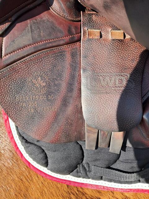 Selle Optim S03 CWD