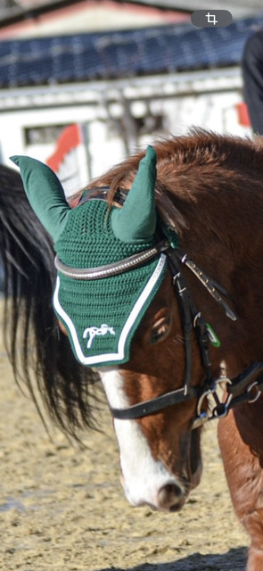 bonnet Pénélope vert