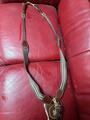 collier de chasse + martingale