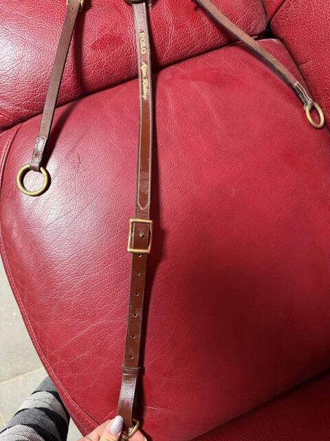 collier de chasse + martingale