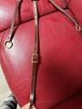 collier de chasse + martingale