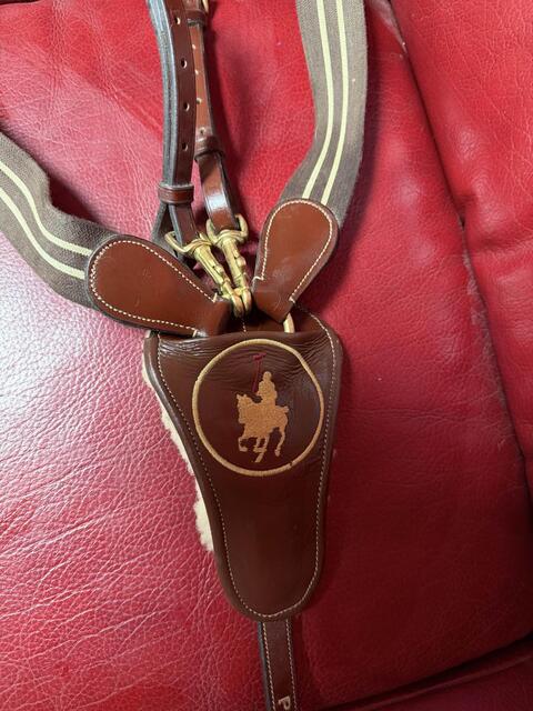 collier de chasse + martingale