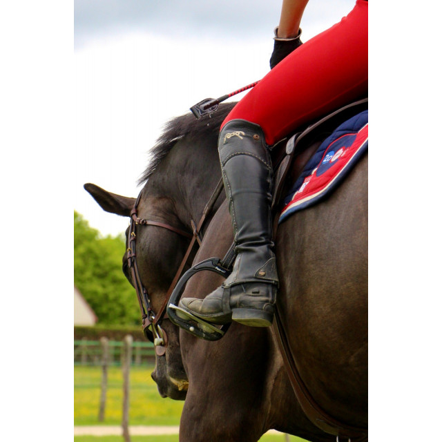 Chaps Pénélope Leprovost