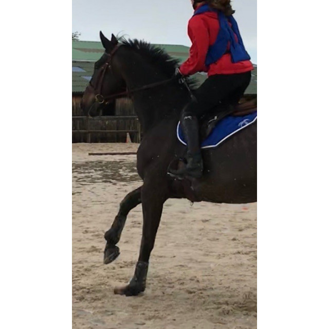 Chaps Pénélope Leprovost