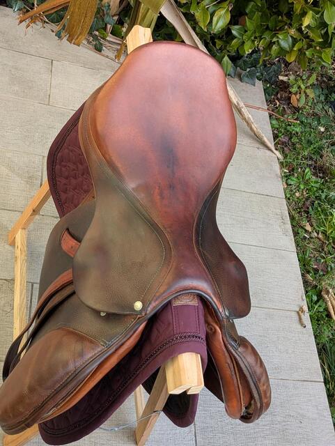 Selle Mixte Forestier