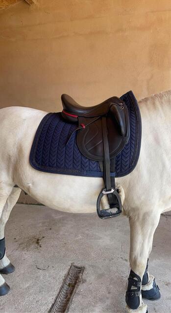 Selle Dressage CWD 17’5
